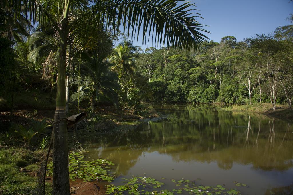 La Laguna Del Lagarto Eco-Lodge Pital  Exterior photo