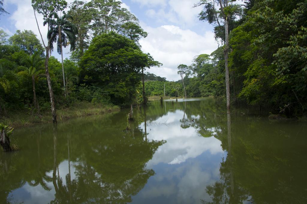 La Laguna Del Lagarto Eco-Lodge Pital  Exterior photo