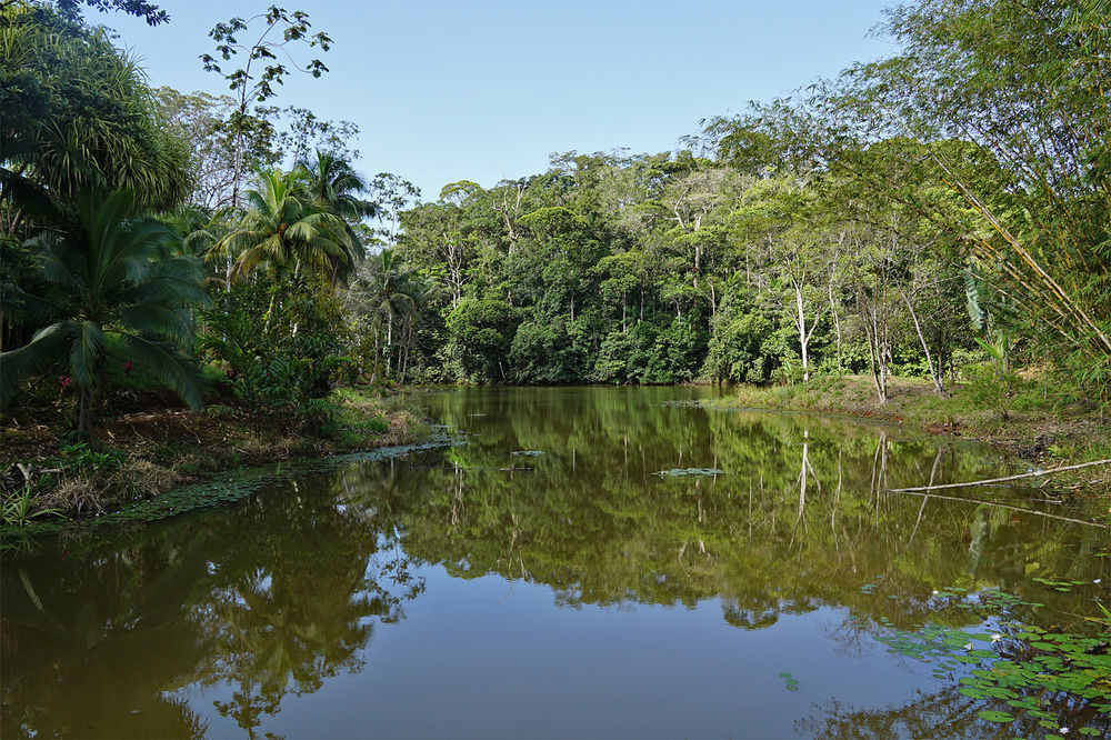 La Laguna Del Lagarto Eco-Lodge Pital  Exterior photo