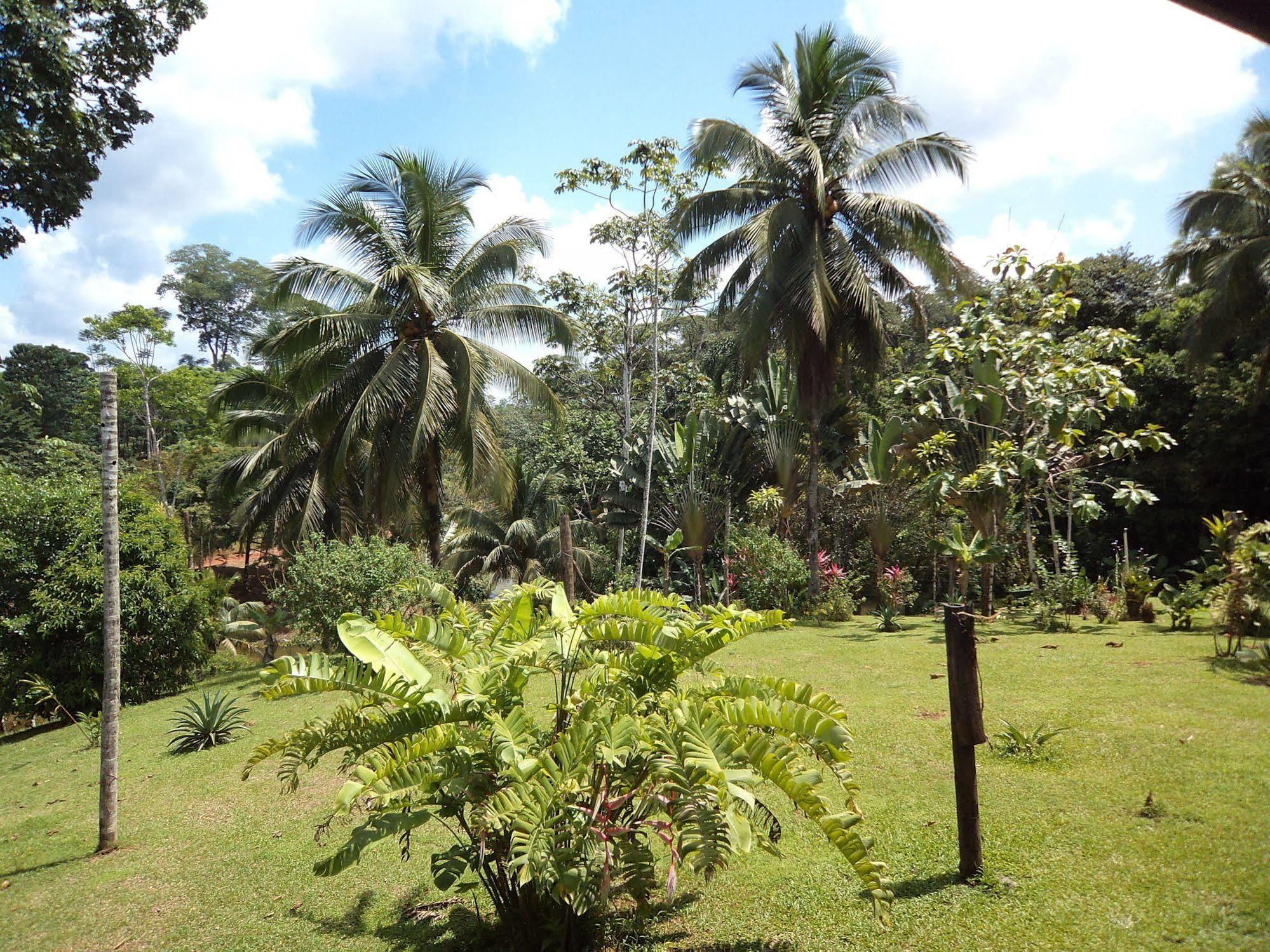 La Laguna Del Lagarto Eco-Lodge Pital  Exterior photo