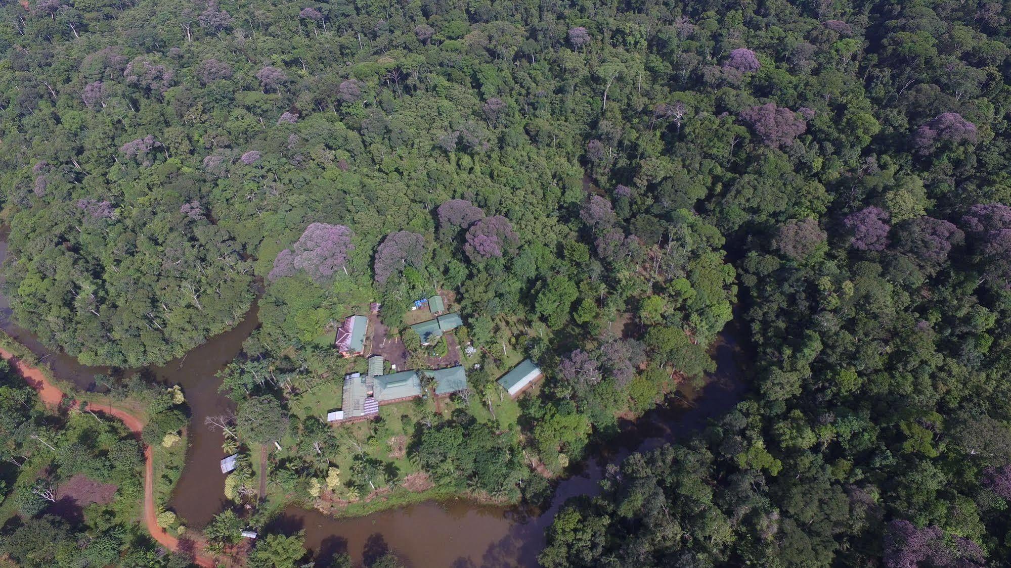 La Laguna Del Lagarto Eco-Lodge Pital  Exterior photo