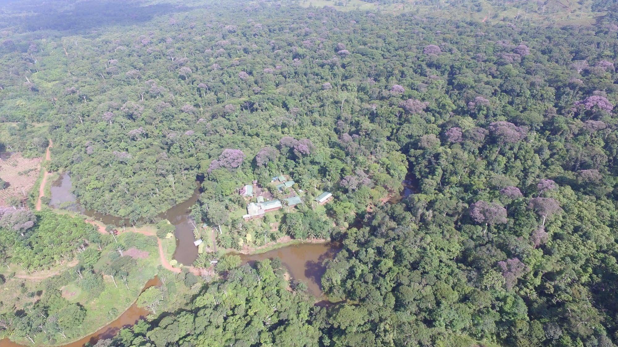 La Laguna Del Lagarto Eco-Lodge Pital  Exterior photo