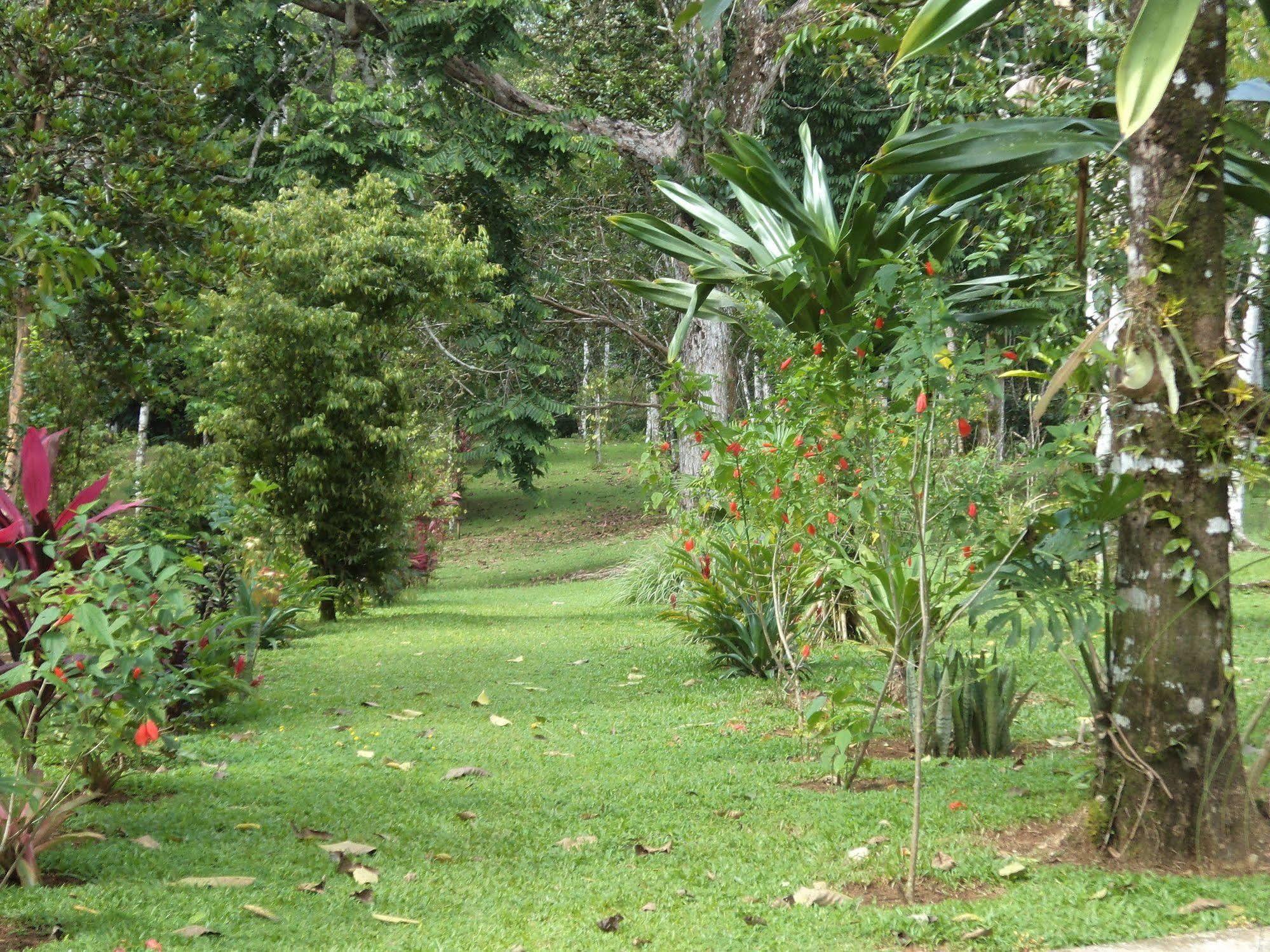 La Laguna Del Lagarto Eco-Lodge Pital  Exterior photo